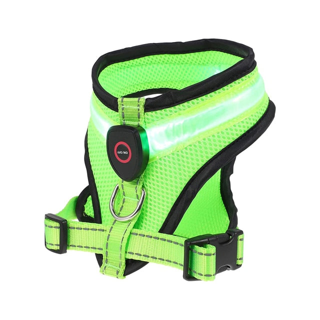 LED Lighted Dog Harness