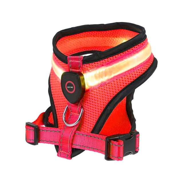 LED Lighted Dog Harness