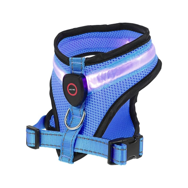 LED Lighted Dog Harness