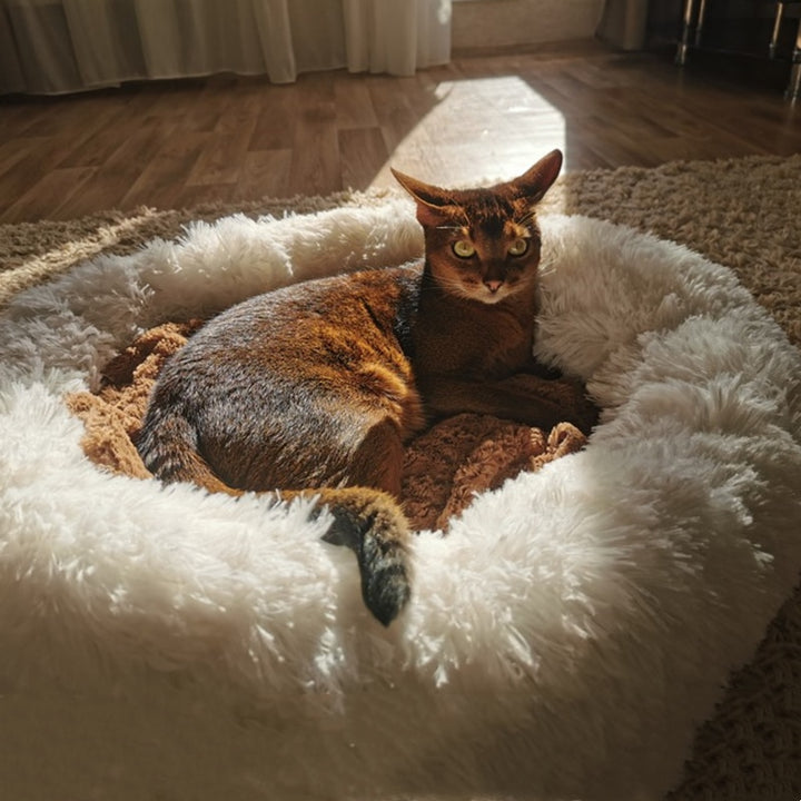 Pampered Pet Sleeping Bed