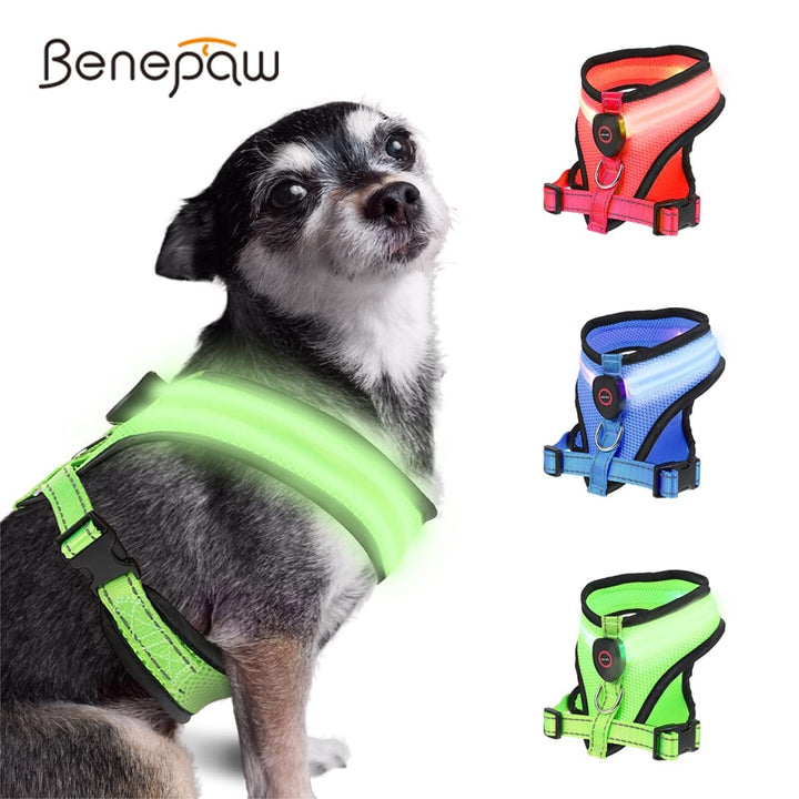 LED Lighted Dog Harness