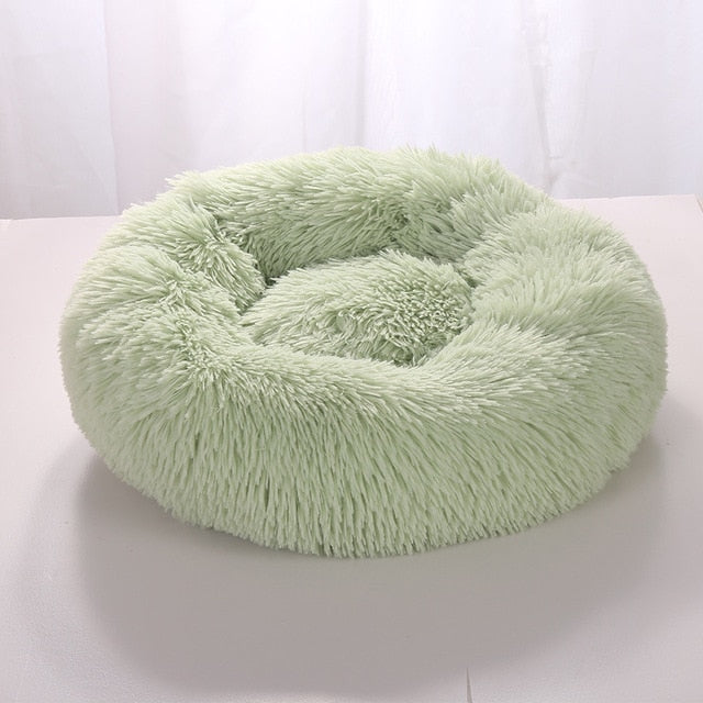 Pampered Pet Sleeping Bed