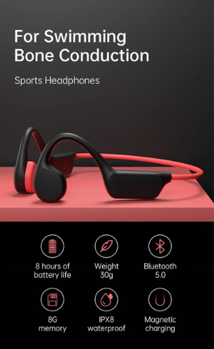 EchoEffex Earphones