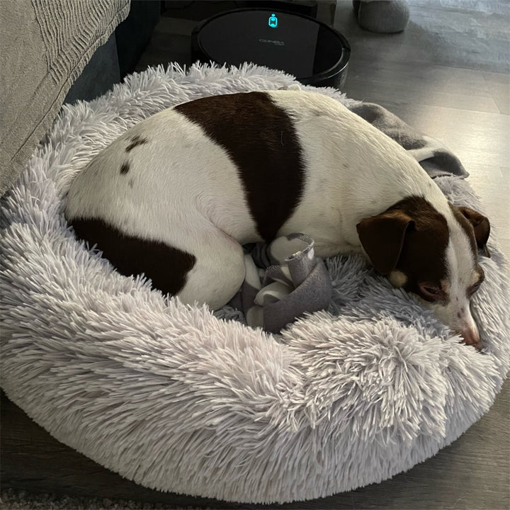 Pampered Pet Sleeping Bed