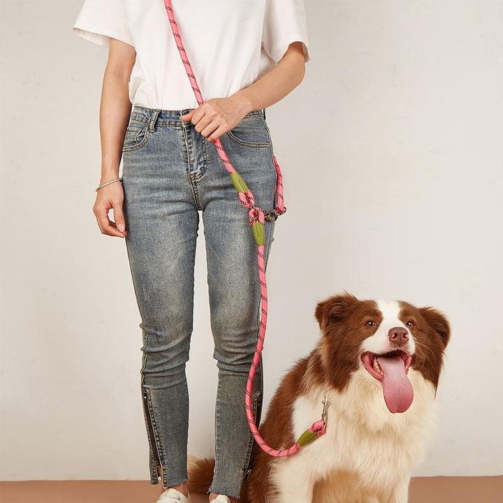 Reflective Dog Leashes